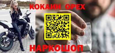крисы Кингисепп