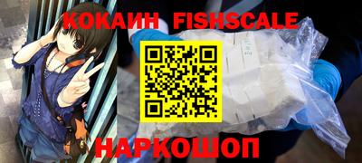 крисы Кингисепп