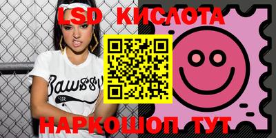 крисы Кингисепп