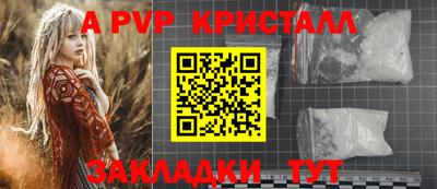 крисы Кингисепп