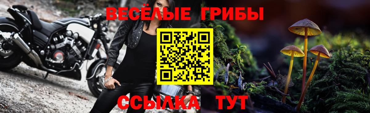 Галлюциногенные грибы мухоморы Ессентуки