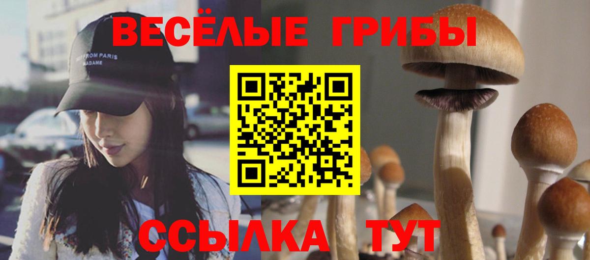Галлюциногенные грибы GOLDEN TEACHER  Вход с VPN  Псилоцибиновые грибы мицелий  Ессентуки 